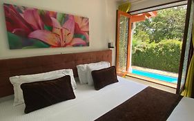 Hotel Boutique las Rosas 5 G
